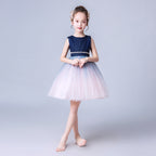 9835 Lace Girls Wedding Dress Embroidered Flower Princess Sparkle Tulle Birthday Party Dresses 2-14Y Boys Removing Girls Dresses