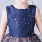8566 Flower Girls Sparkle Tulle Dress Maid of Honor Dresses for Weddings Ball Gowns for Children Birthday Dresses