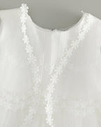 7955 Baby Dresses Princess Christening Gown Birthday Baby Dresses 0-12 Months Baby Clothing for Summer