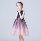 8566 Flower Girls Sparkle Tulle Dress Maid of Honor Dresses for Weddings Ball Gowns for Children Birthday Dresses