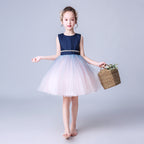 9835 Lace Girls Wedding Dress Embroidered Flower Princess Sparkle Tulle Birthday Party Dresses 2-14Y Boys Removing Girls Dresses
