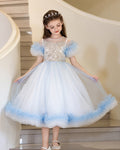 5208 Princess Dresses for Girls Prom Fluffy Shiny Beautiful Kids Party Dress Children Frock Design