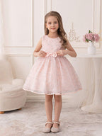 5093 Wholesale Embroidered Lace Princess Pageant Ball Gown Wedding Party Flower Girl Dress for Little Girls 5-11Y