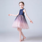 8566 Flower Girls Sparkle Tulle Dress Maid of Honor Dresses for Weddings Ball Gowns for Children Birthday Dresses