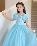 5206 9 Years Old Girls Baby Blue Gown Handwork Pakistan Style Elegant Bridesmaid Birthday Party Princess Dress Children Clothing
