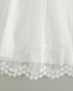 7955 Baby Dresses Princess Christening Gown Birthday Baby Dresses 0-12 Months Baby Clothing for Summer