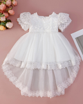 6259 Baby Girl Dresses Wedding Dresses Baptism Dress Frocks Party Wear Fancy Flower Embroidery Newborn White Clothes Wholesales