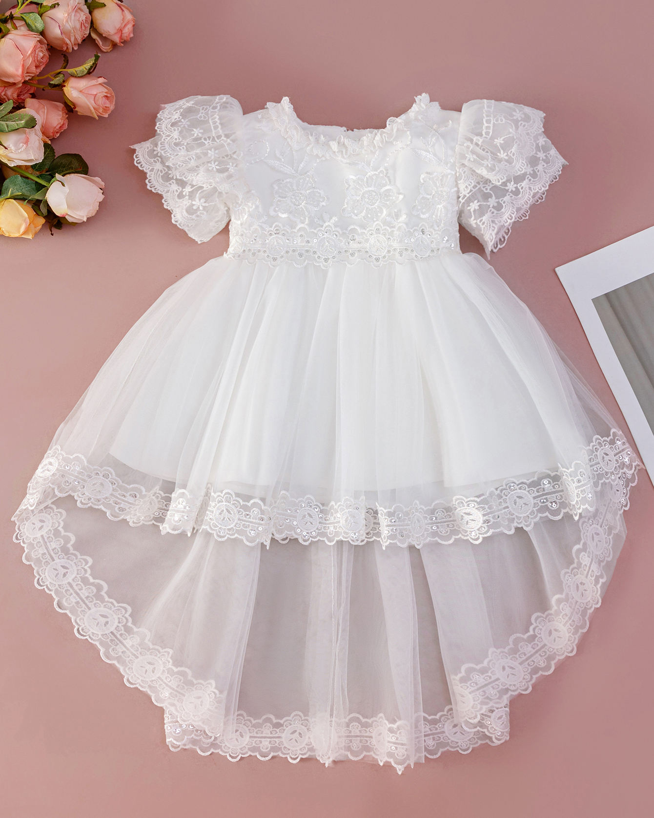6259 Baby Girl Dresses Wedding Dresses Baptism Dress Frocks Party Wear Fancy Flower Embroidery Newborn White Clothes Wholesales