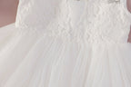 5136 Wholesale Baby Girls Dress White Baby Dresses Embroidered Wedding Dresses Flower Girls Christening Gown for Baby Baptism