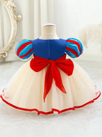6267 Infant Baby Birthday Party Ball Gown Wedding Fluffy Special Occasion Formal Baby Dress Girl
