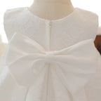 5051 Princess Dress for Girl Formal Wholesale White Lace Flower Girls' Dresses for Wedding Little Girl Clothes Baptism Gown