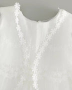 7955 Baby Dresses Princess Christening Gown Birthday Baby Dresses 0-12 Months Baby Clothing for Summer