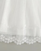 7955 Baby Dresses Princess Christening Gown Birthday Baby Dresses 0-12 Months Baby Clothing for Summer
