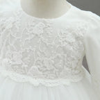9605 Newborn Baby Clothes Princess Babies Dress One-year-old Christening Gown Long Sleeves Baby Embroidery Dresses with Hat