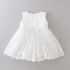 7173 Baby Girl Christening Dress Baptism Dedication Blessing Gown Special Occasion Dresses With Floral Embroidered