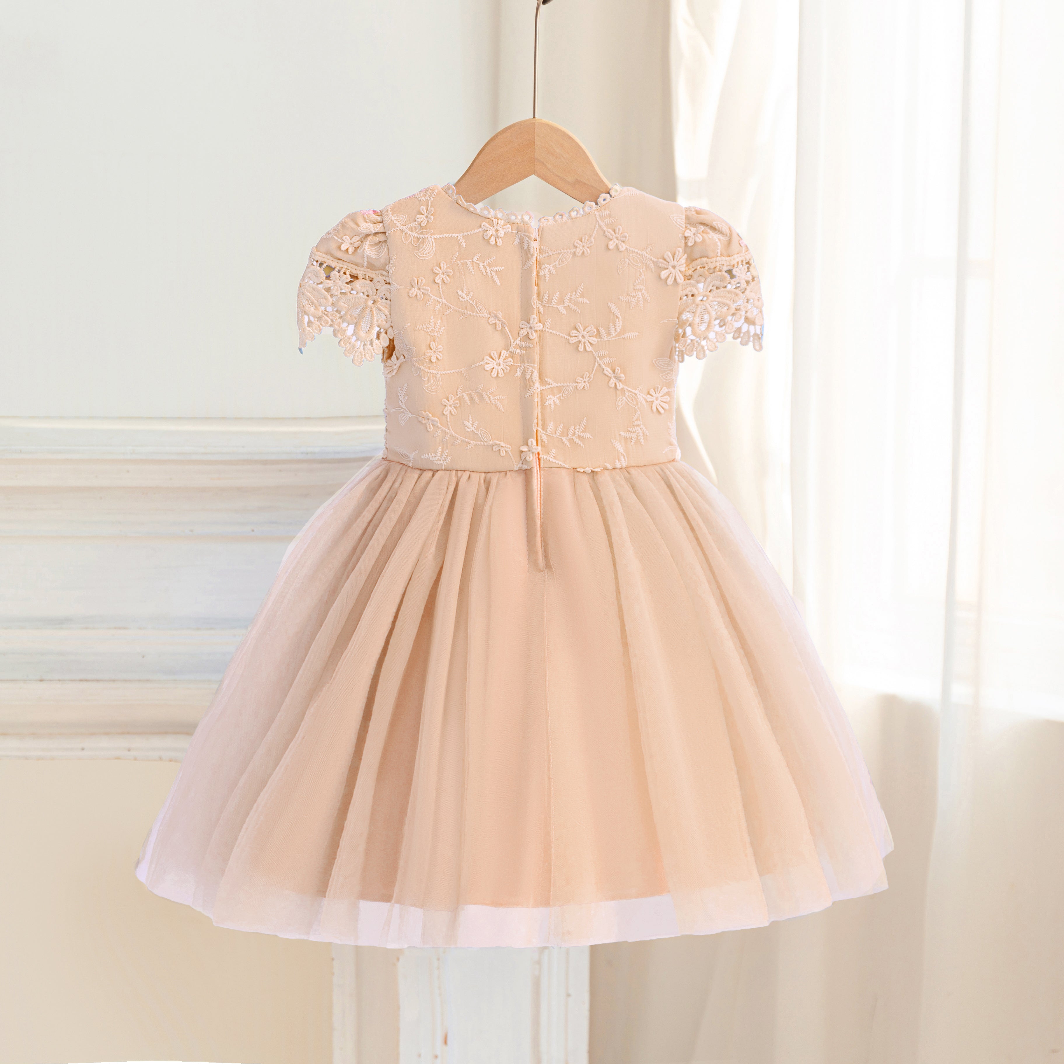 6258 Wholesale Little Girl Gold Party Dress Frock 3Y Fancy Princess Dress 2 Years Baby Girl Tulle Embroidery Birthday Gown
