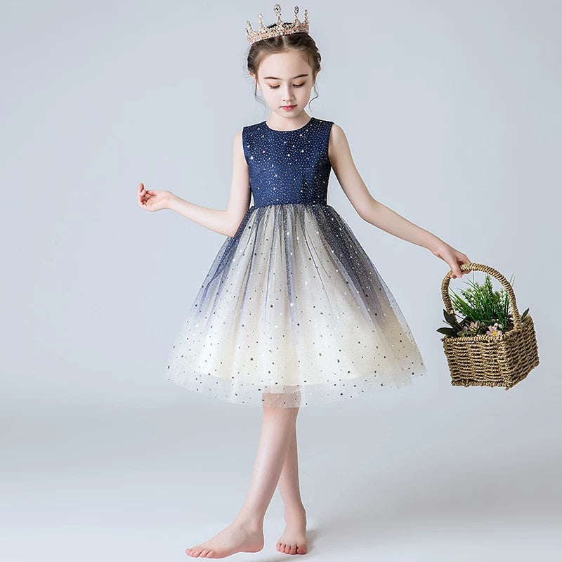 8566 Flower Girls Sparkle Tulle Dress Maid of Honor Dresses for Weddings Ball Gowns for Children Birthday Dresses